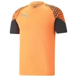 PUMA Training T-Shirt IndividualCUP - Orange/Schwarz