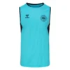 Hummel Dänemark Training T-Shirt Pro - Blau/Navy