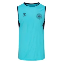 Hummel Dänemark Training T-Shirt Pro - Blau/Navy