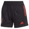 ADIDAS Performance Belgien Tiro 23 Trainingsshorts