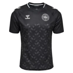 Hummel Dänemark Torwarttrikot 2023/24