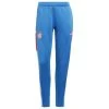 ADIDAS Performance FC Bayern München Condivo 22 Trainingshose