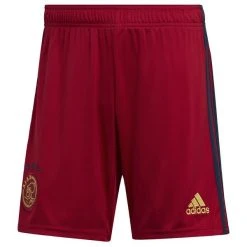 ADIDAS Ajax Auswärtsshorts 2022/23