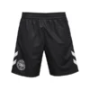 Hummel Dänemark Torwartshorts 2023/24