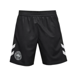 Hummel Dänemark Torwartshorts 2023/24