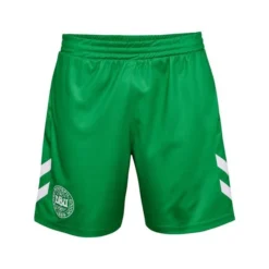 Hummel Dänemark Torwartshorts 2023/24 Kinder