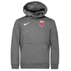 Nike Norwegen Hoodie Fleece Park 20 - Grau/Weiß Kinder