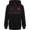Hummel Dänemark Hoodie Fan - Schwarz Kinder