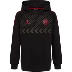Hummel Dänemark Hoodie Fan - Schwarz Kinder