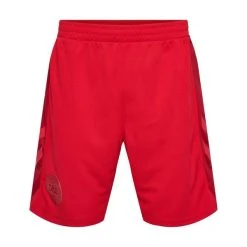 Hummel Dänemark Heimshorts Weltmeisterschaft 2022 Kinder