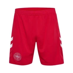 Hummel Dänemark Auswärtsshorts 2023/24 Kinder
