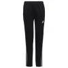 ADIDAS Performance Benfica Lissabon Condivo Trainingshose