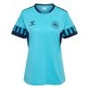 Hummel Dänemark Training T-Shirt Pro Women's World Cup 2023 - Blau/Navy Damen